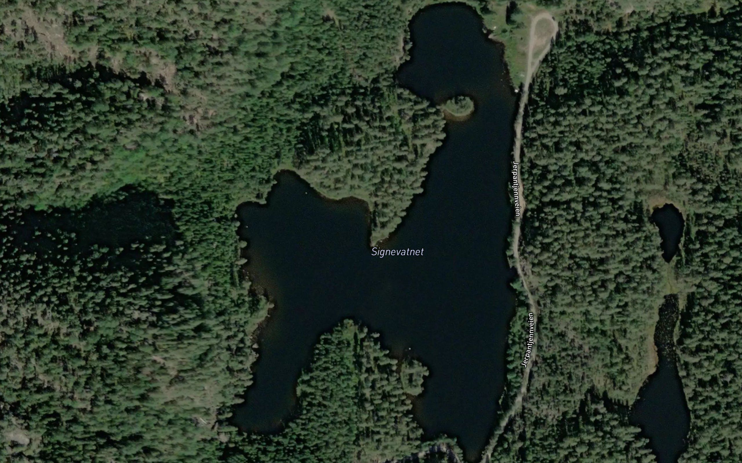 Signevann
