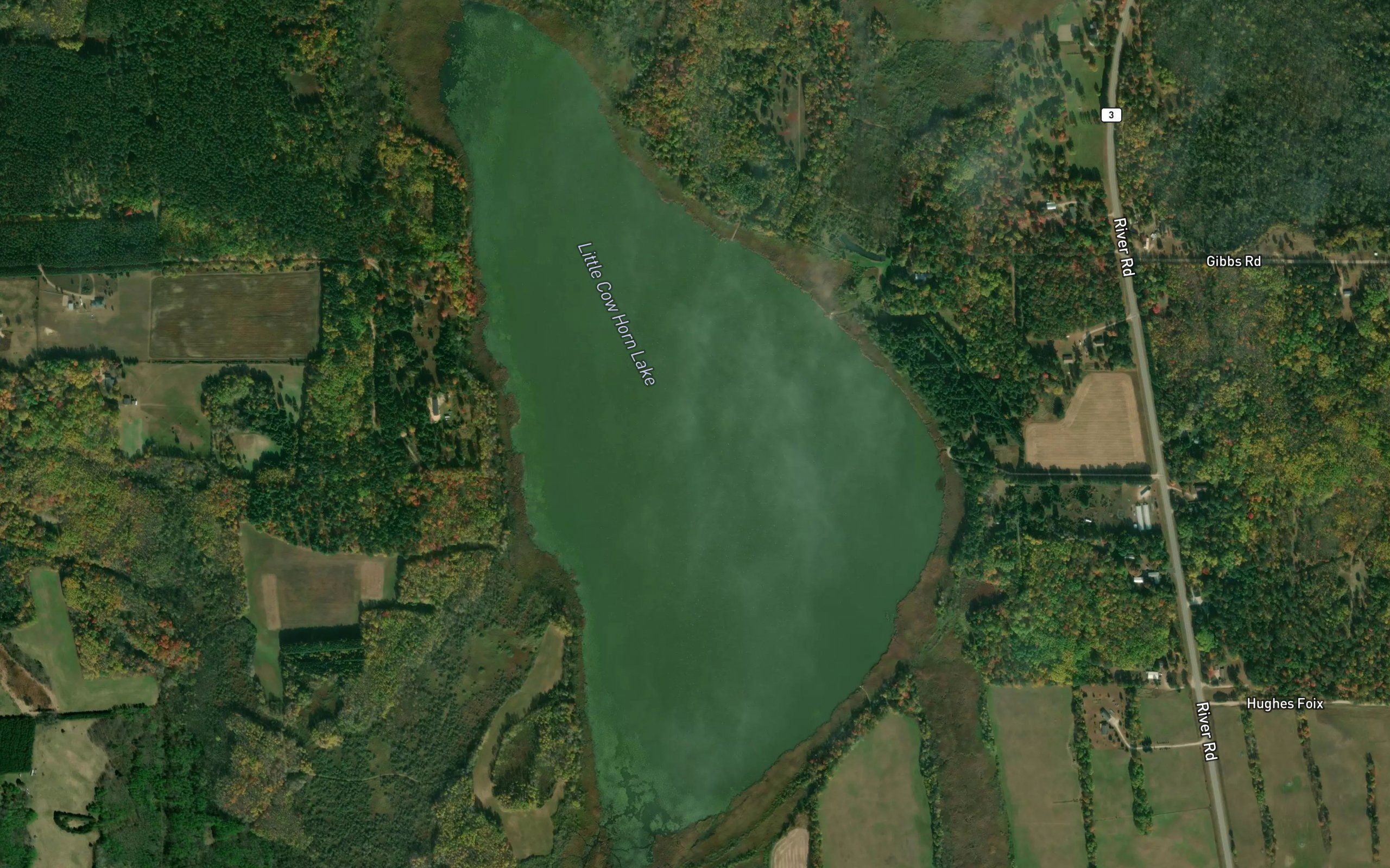 Little Cow Horn Lake