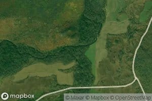 Srednyaya Antonovka