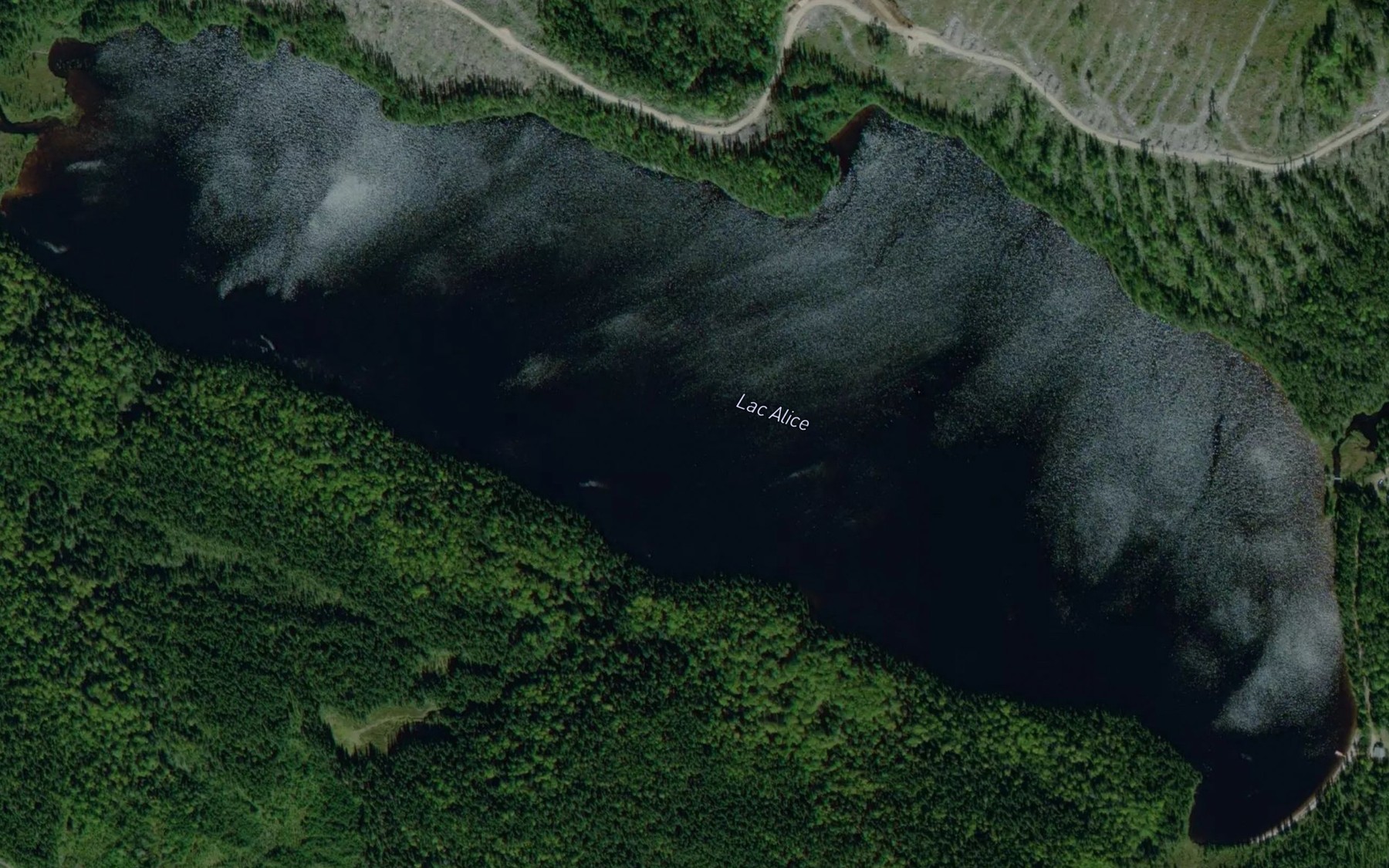 Satellite map of the Lac Alice