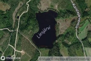 Liesjarvi