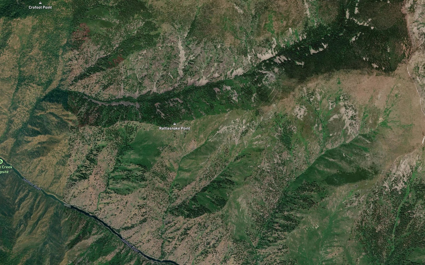 Satellite map of the Rattlesnake Spring
