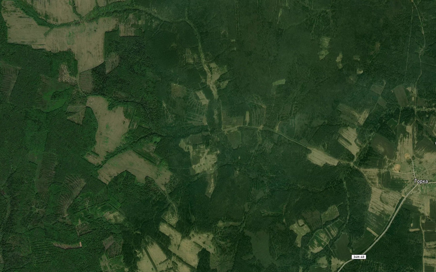 Satellite map of the Vyazovik