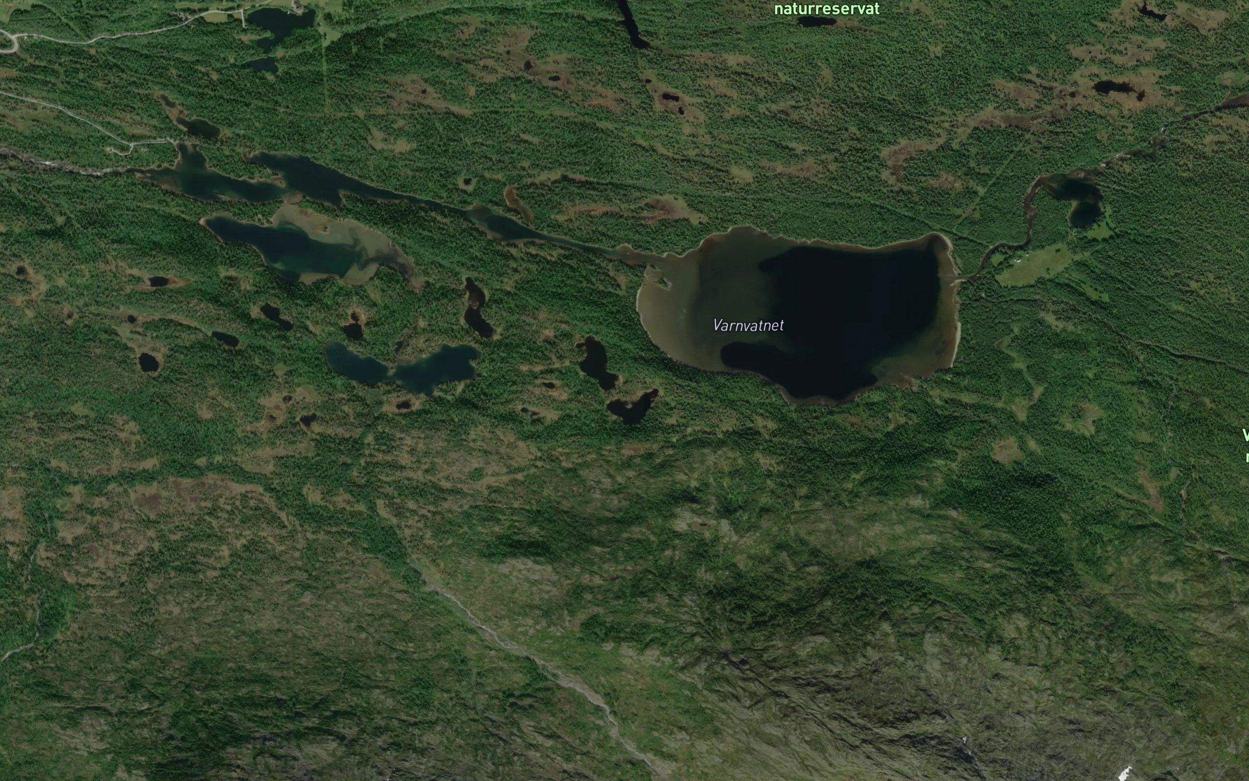 Kurostjornan