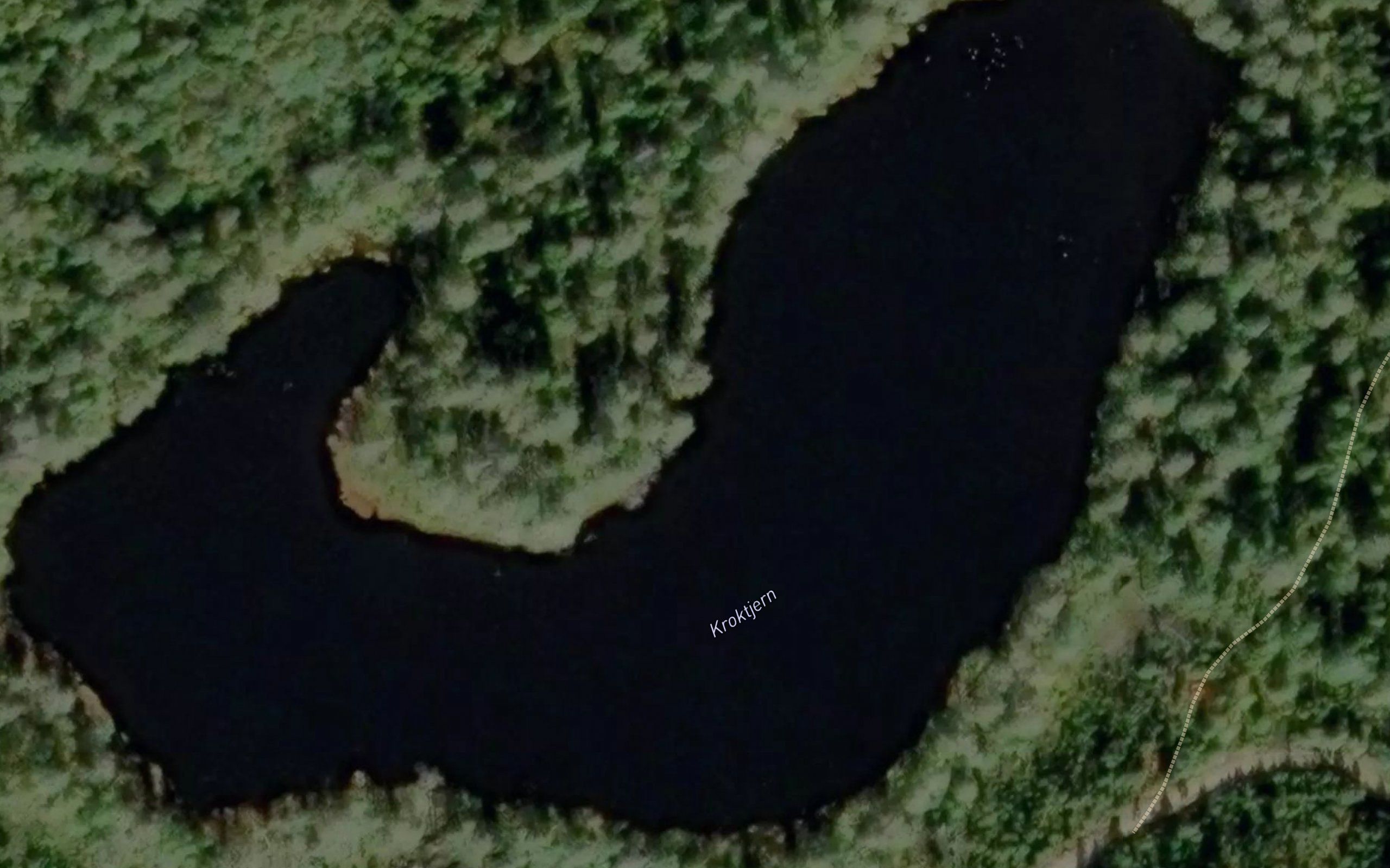 Kroktjern