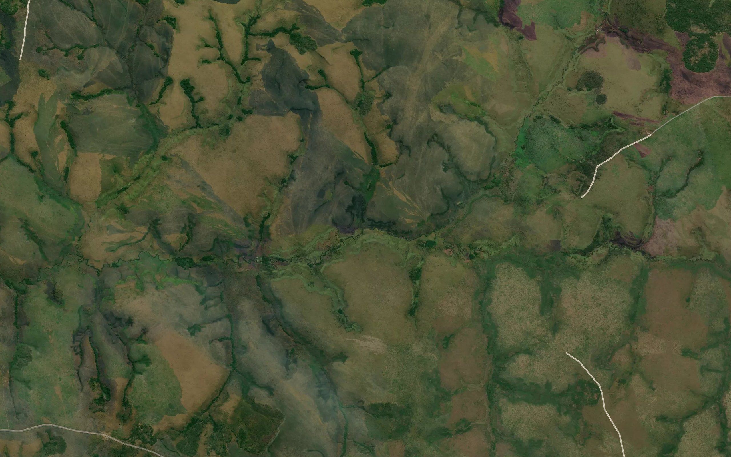Caibinga
