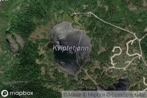 Kviptetjonn