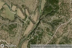 Wasp Creek