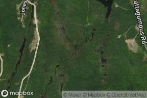 Little Pattagumpus Stream