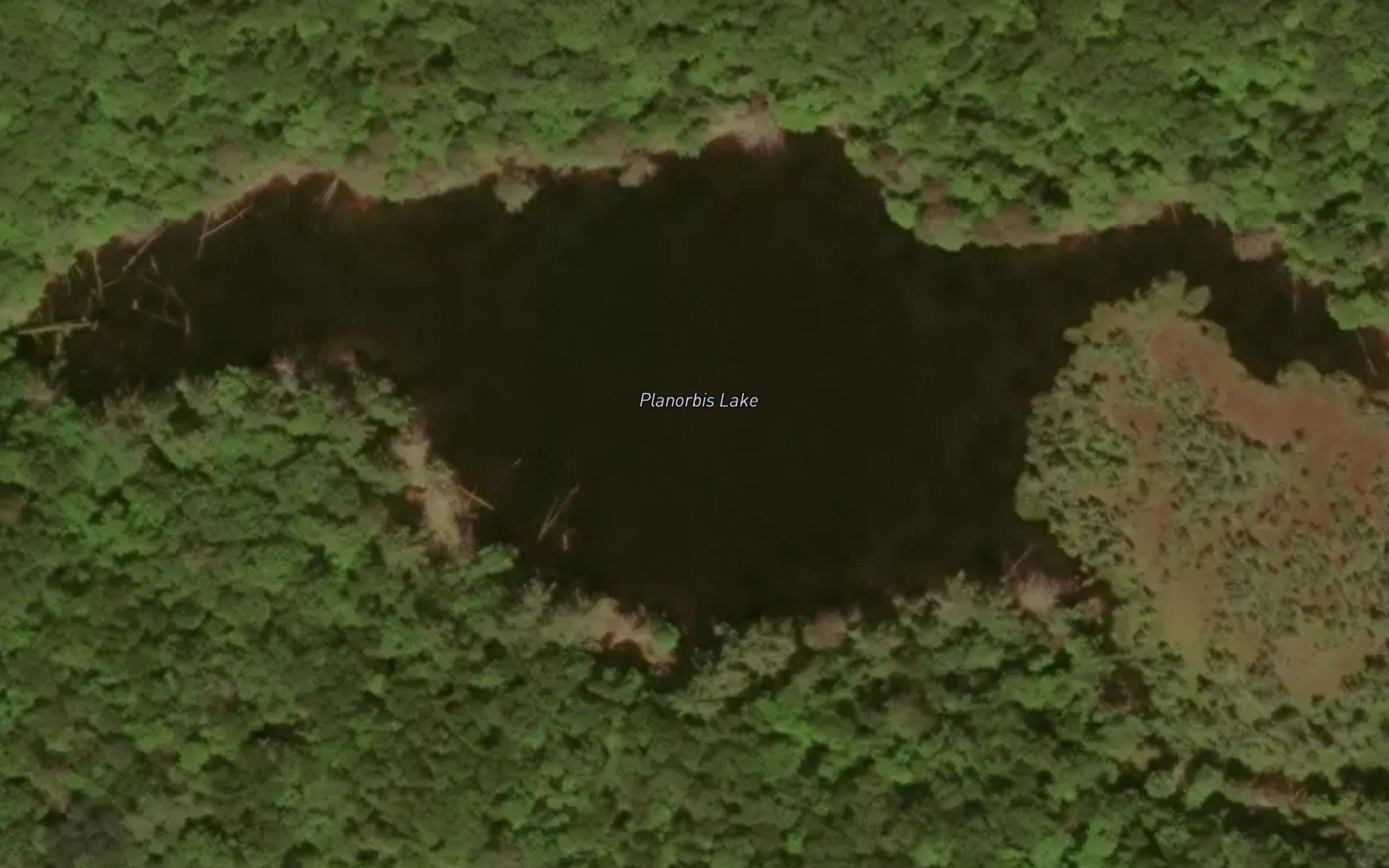 Planorbis Lake