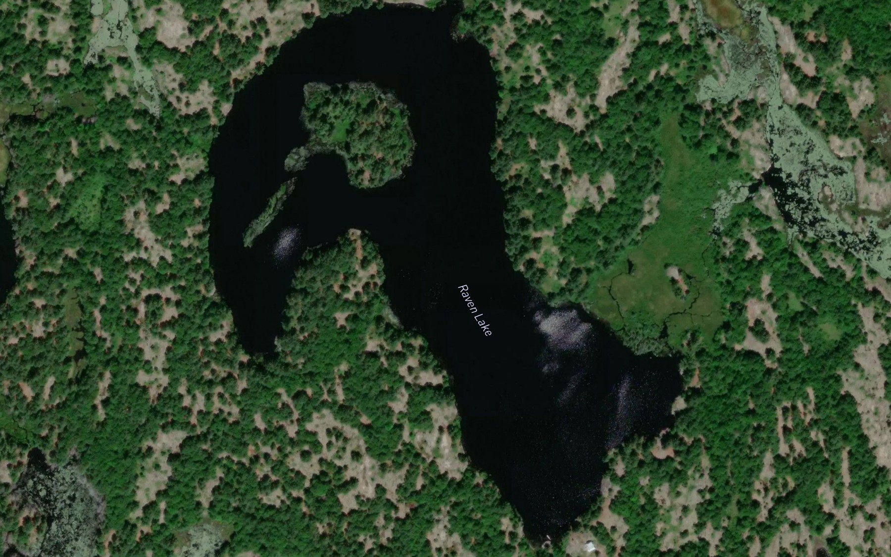Satellite map of the Raven Lake