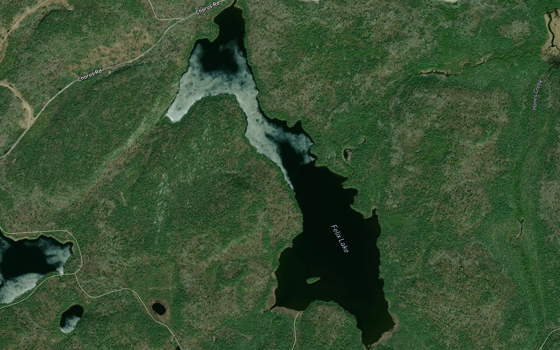 Satellite map of the Felix Lake