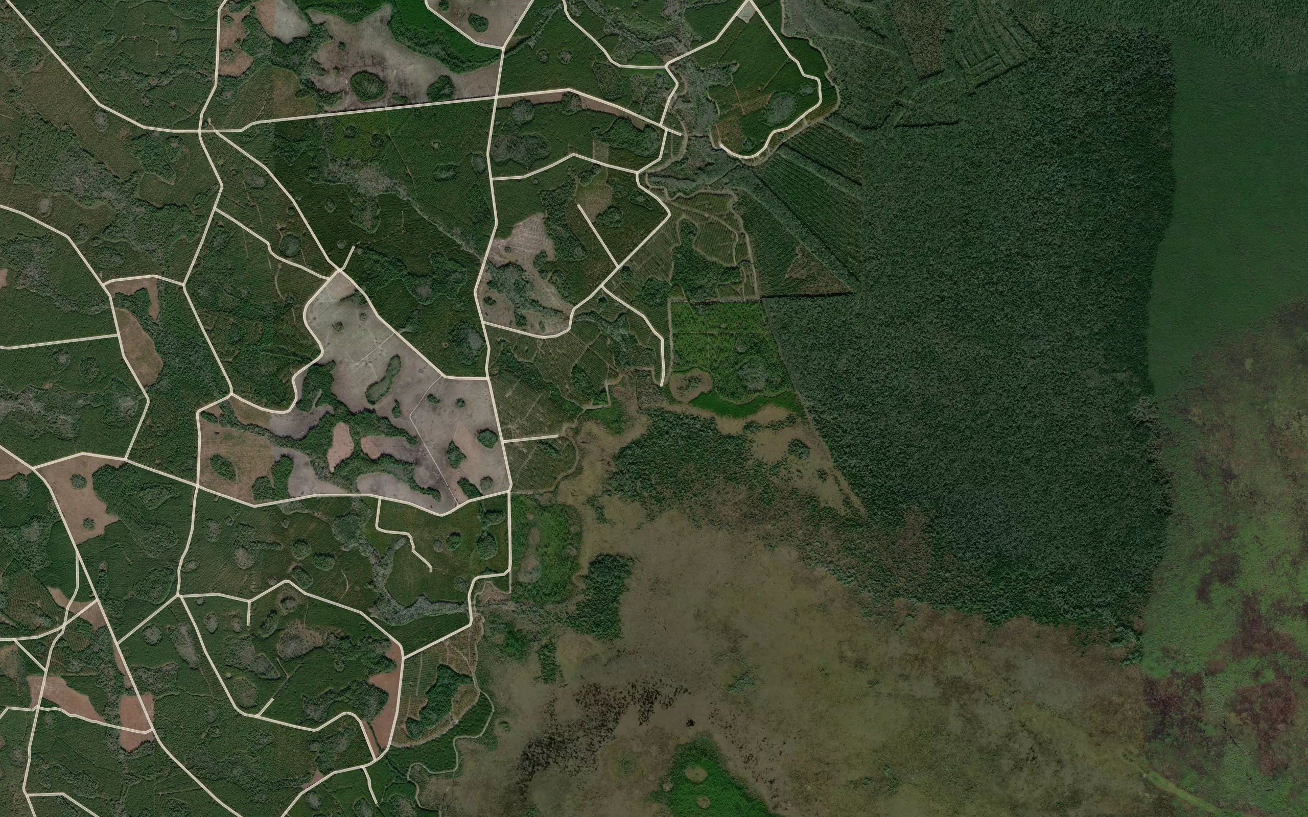 Turkey Branch