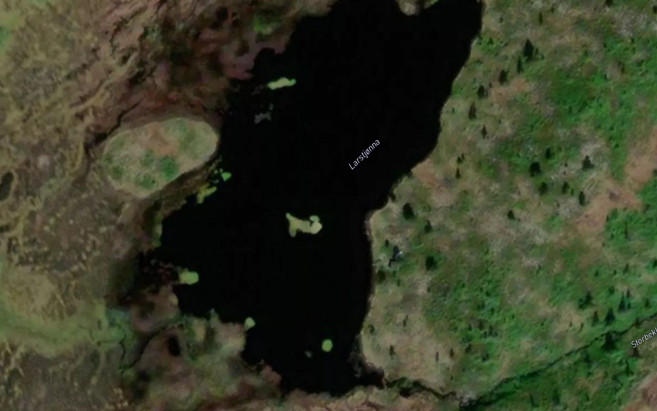 Larstjonna