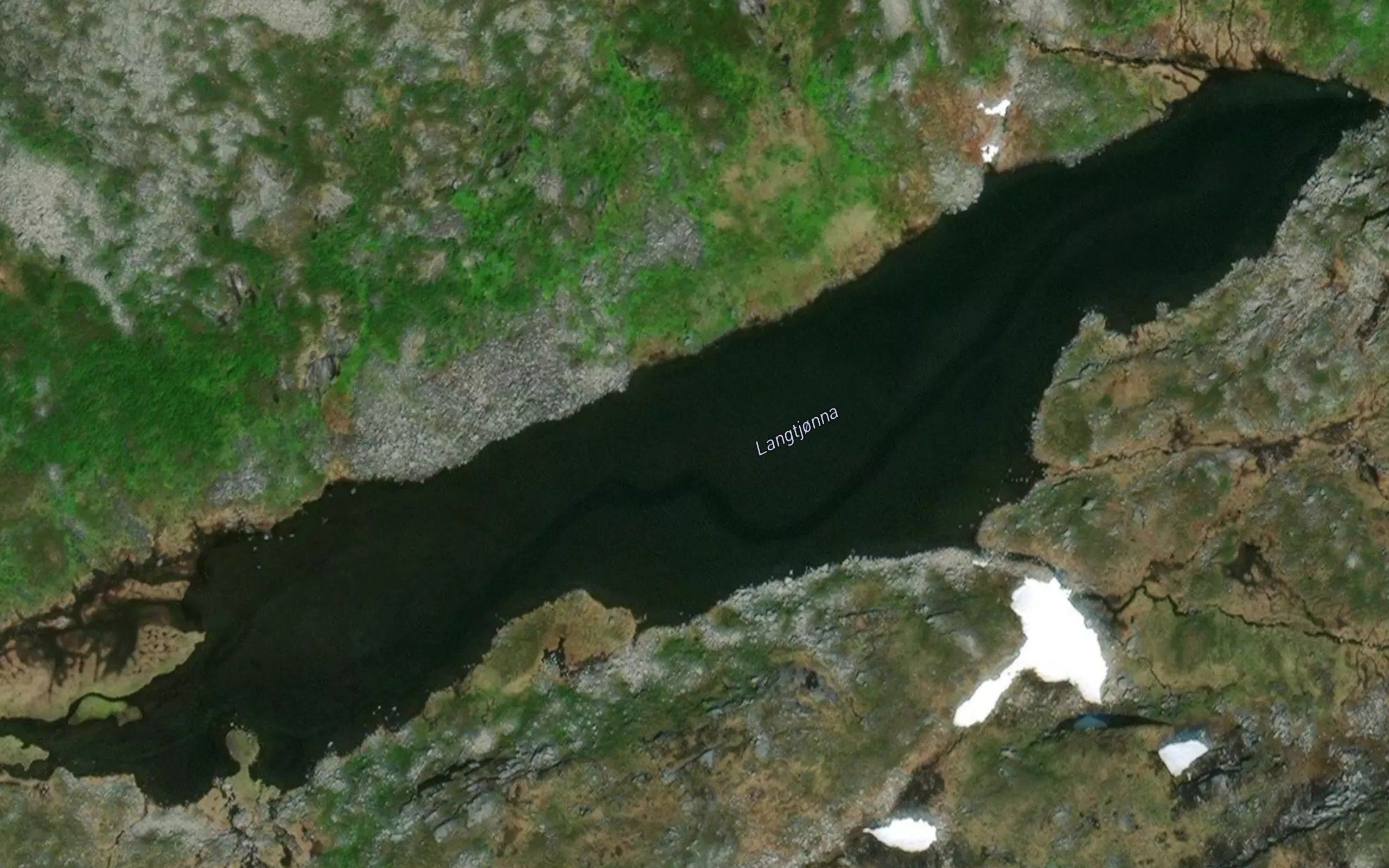 Langtjorna