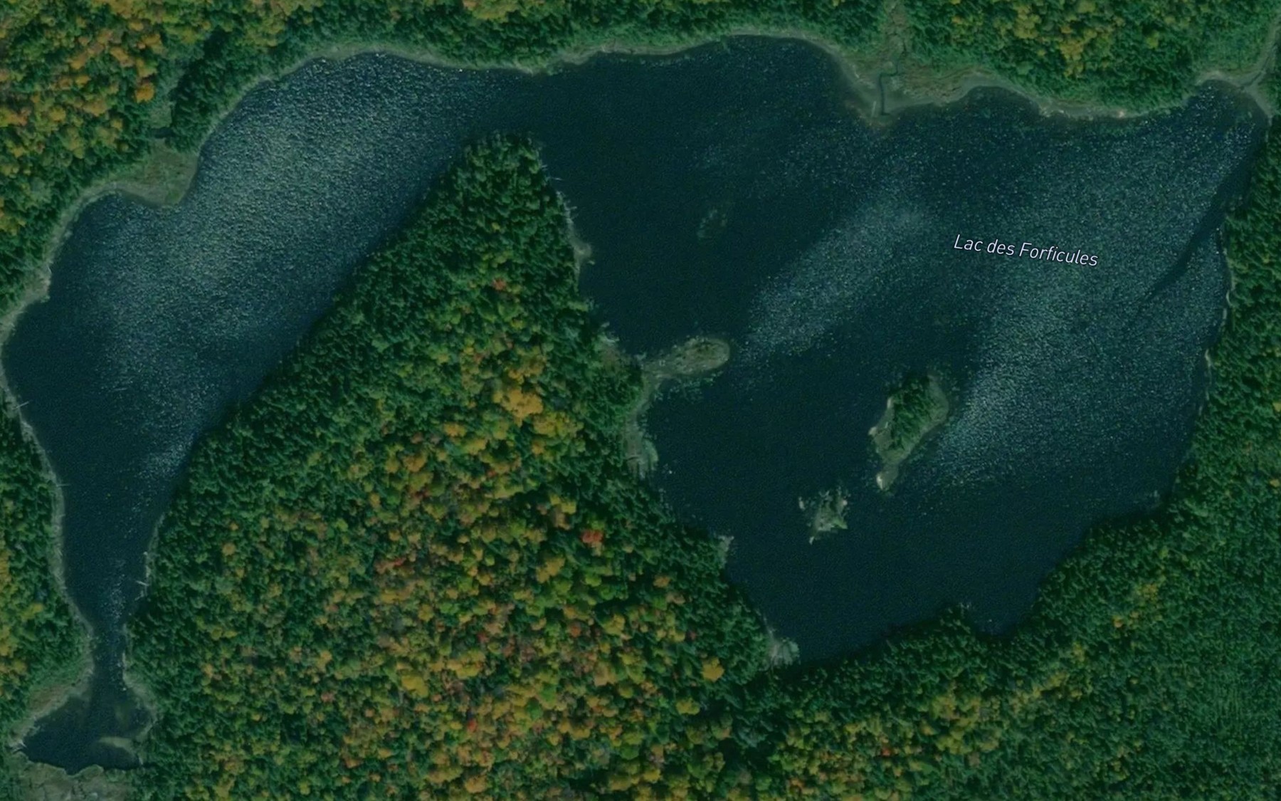 Satellite map of the Lac des Forficules