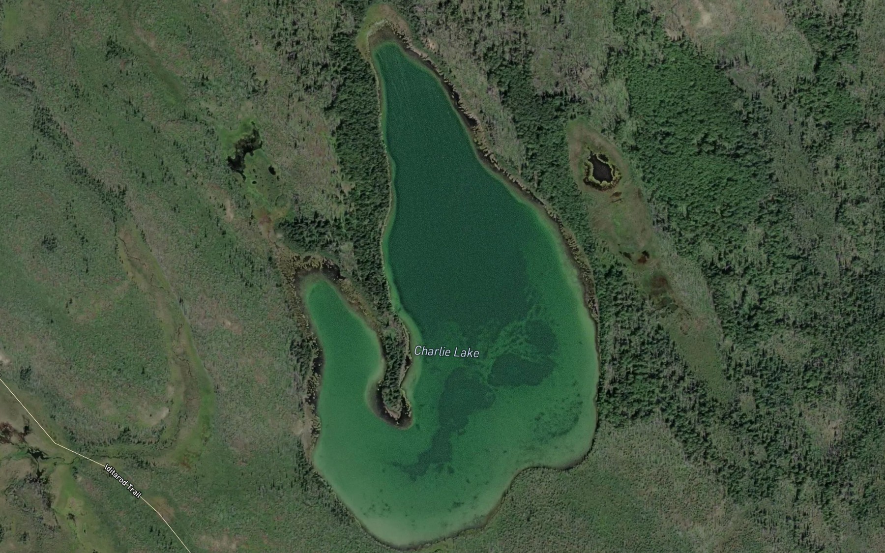 Satellite map of the Charlie Lake