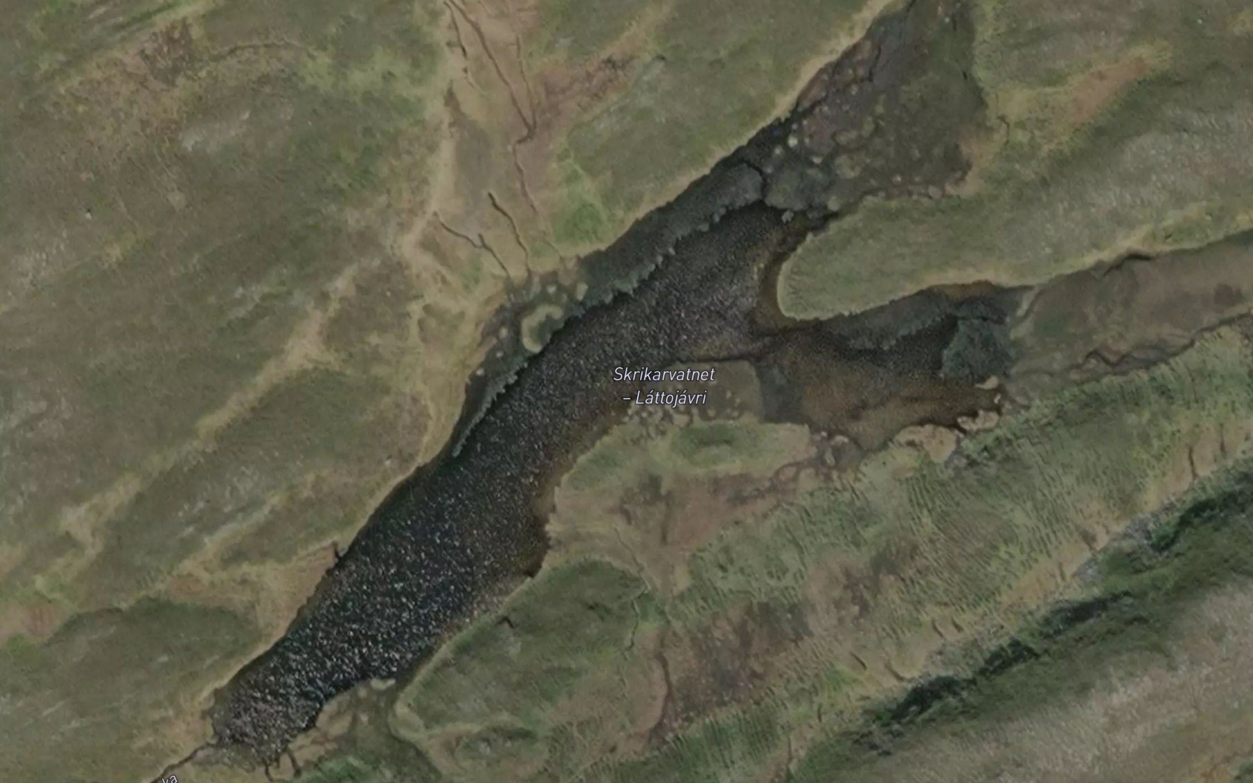 Laddujavri