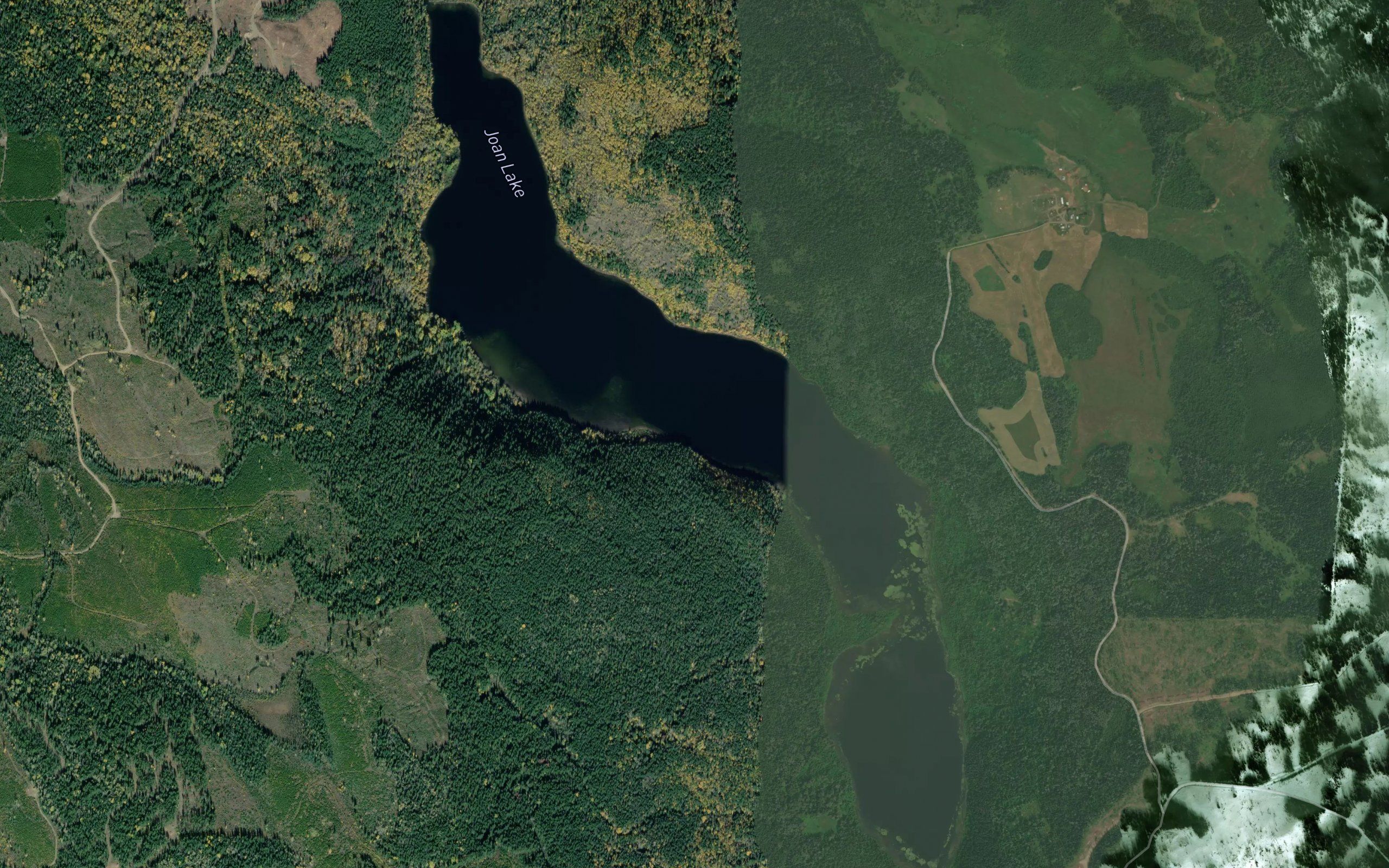 Joan Lake