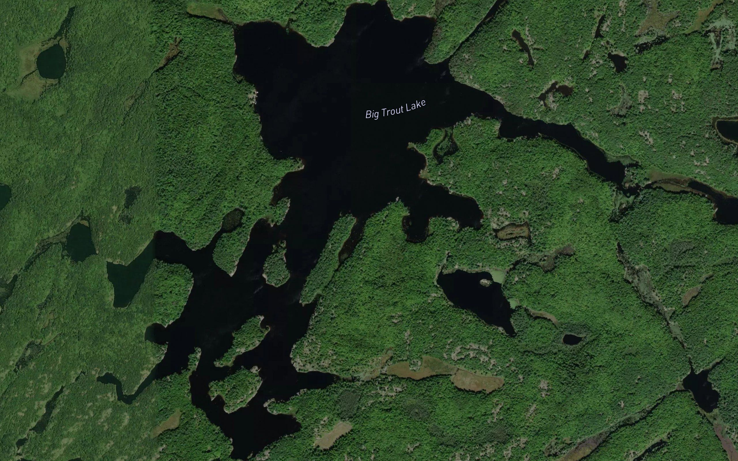 Big Trout Lake