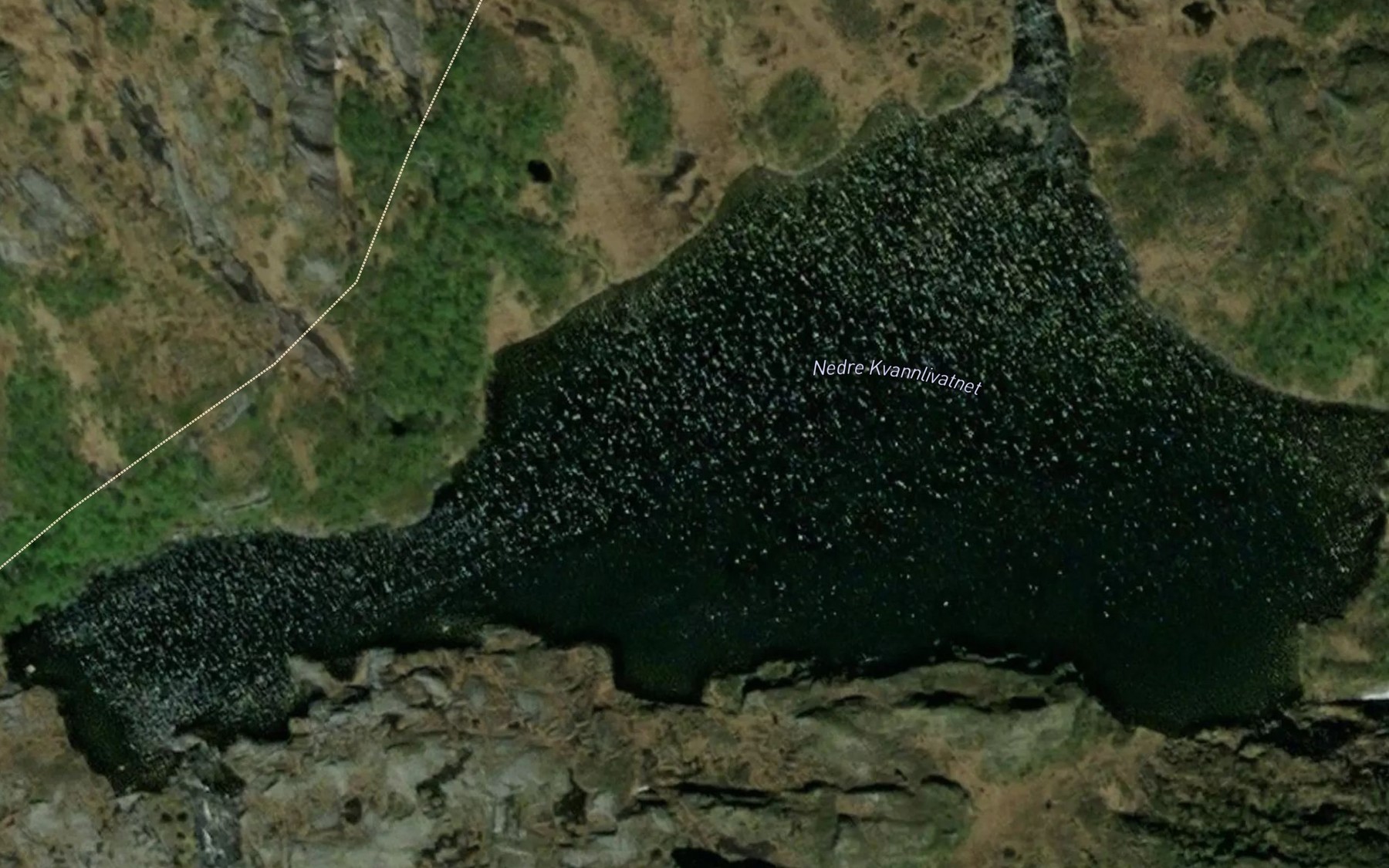 Satellite map of the Nedre Kvannlivatnet