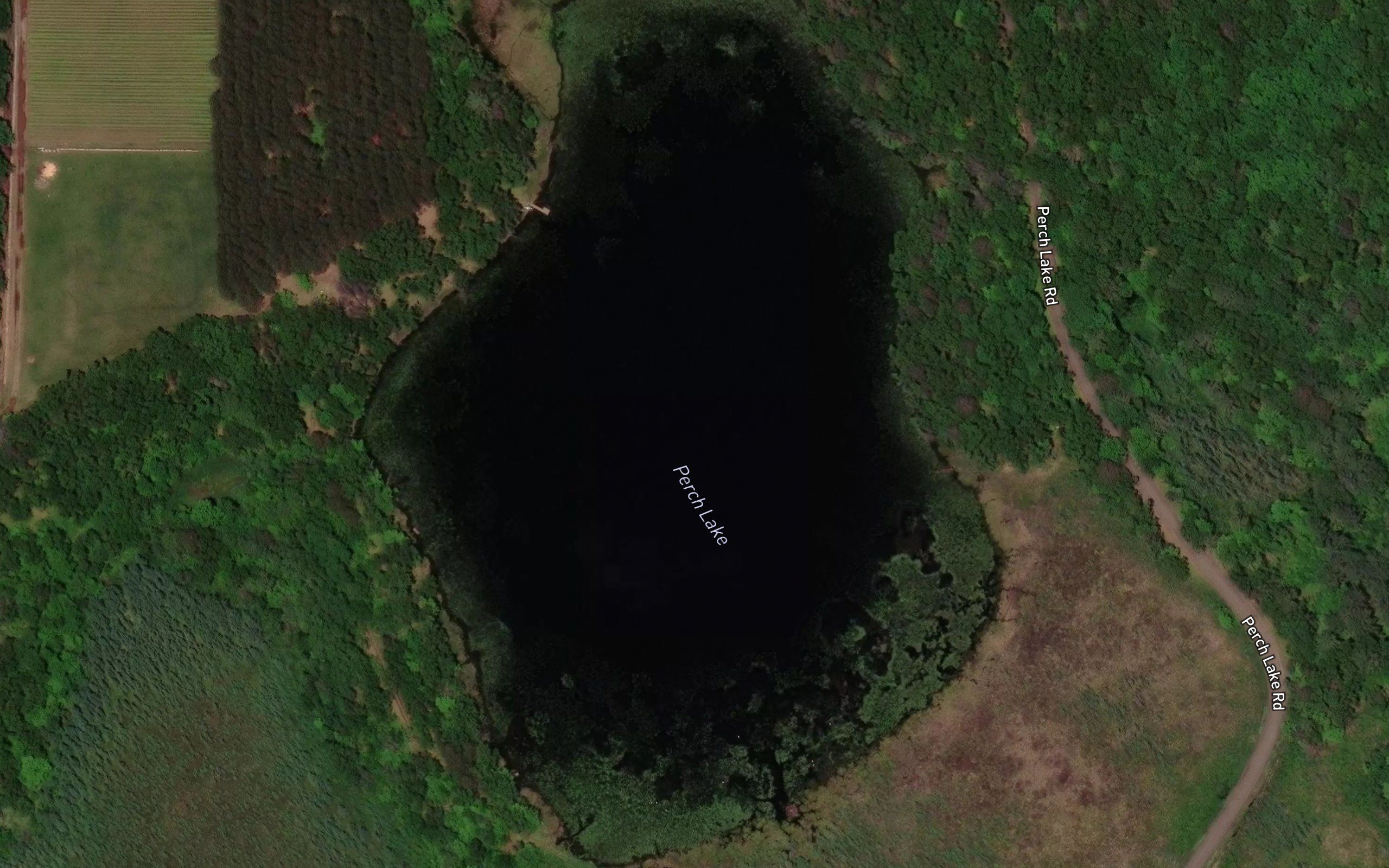Perch Lake
