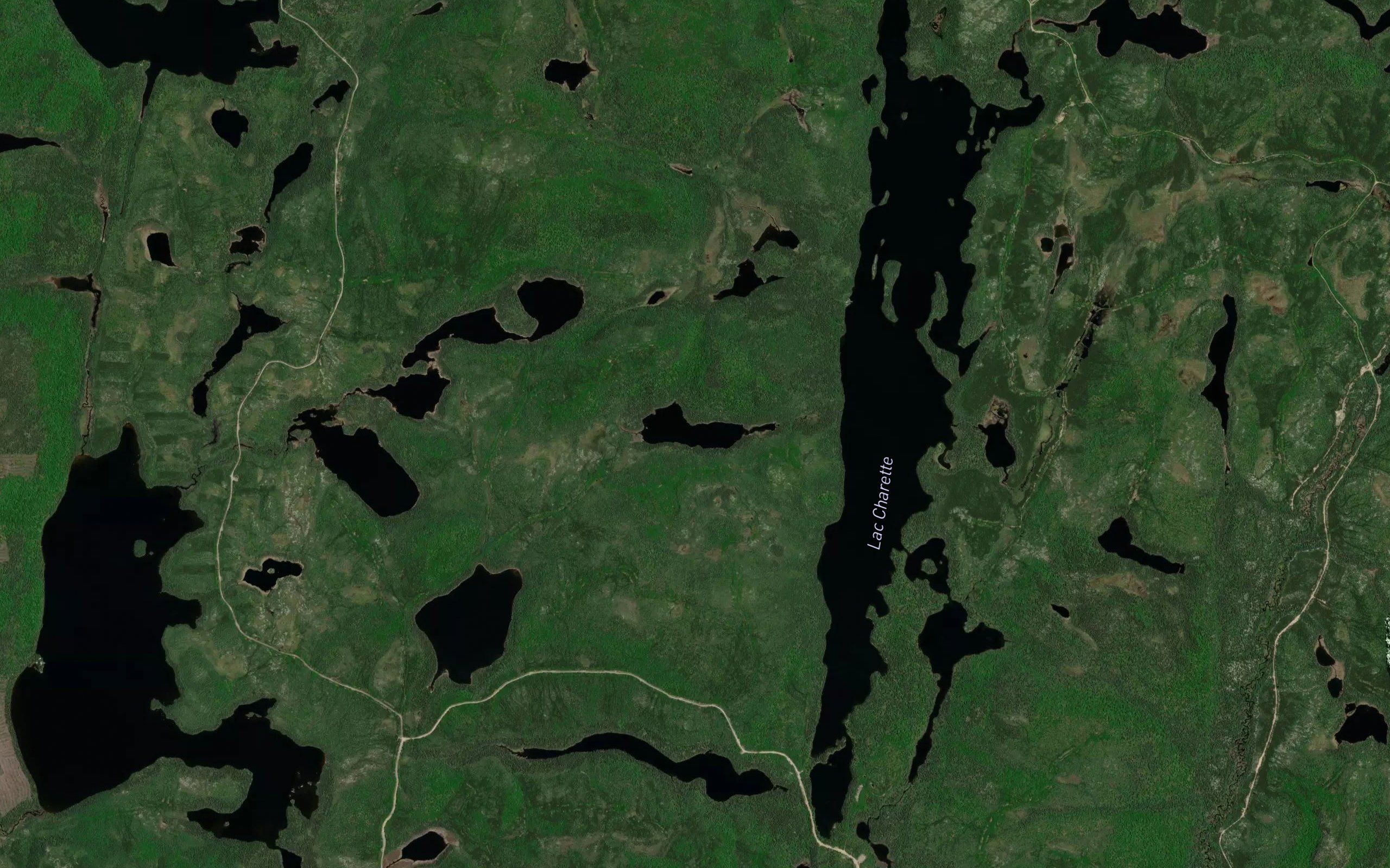 Lac Bacon