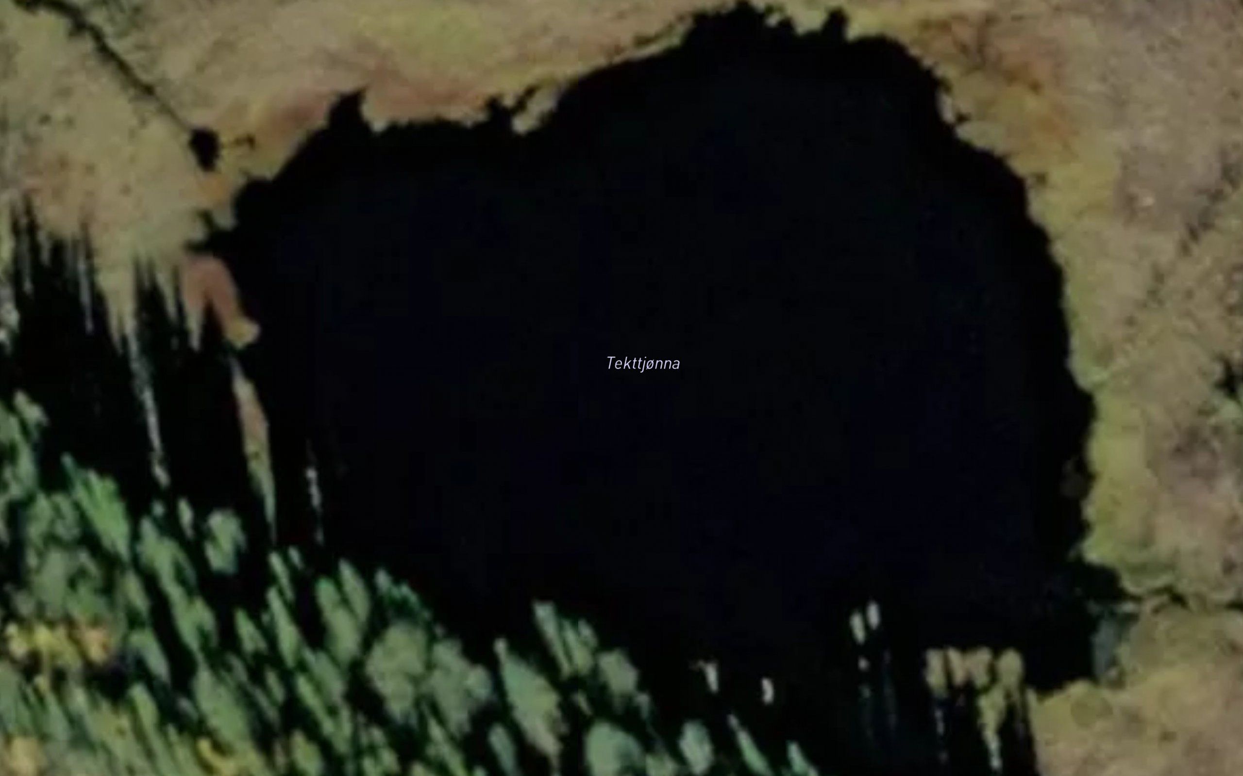 Tektstjorna
