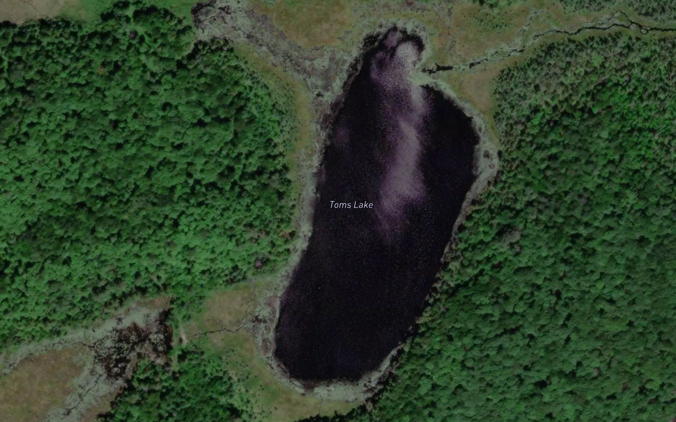 Toms Lake