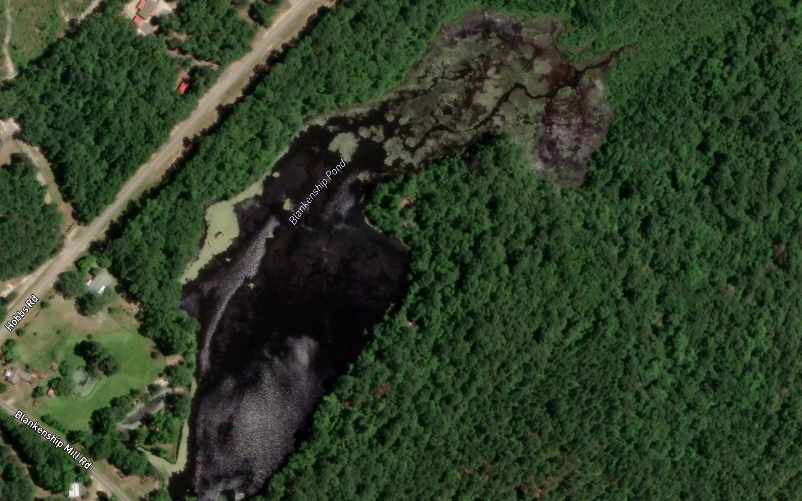 Blankenship Pond