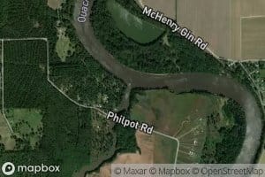 Bayou Lapine