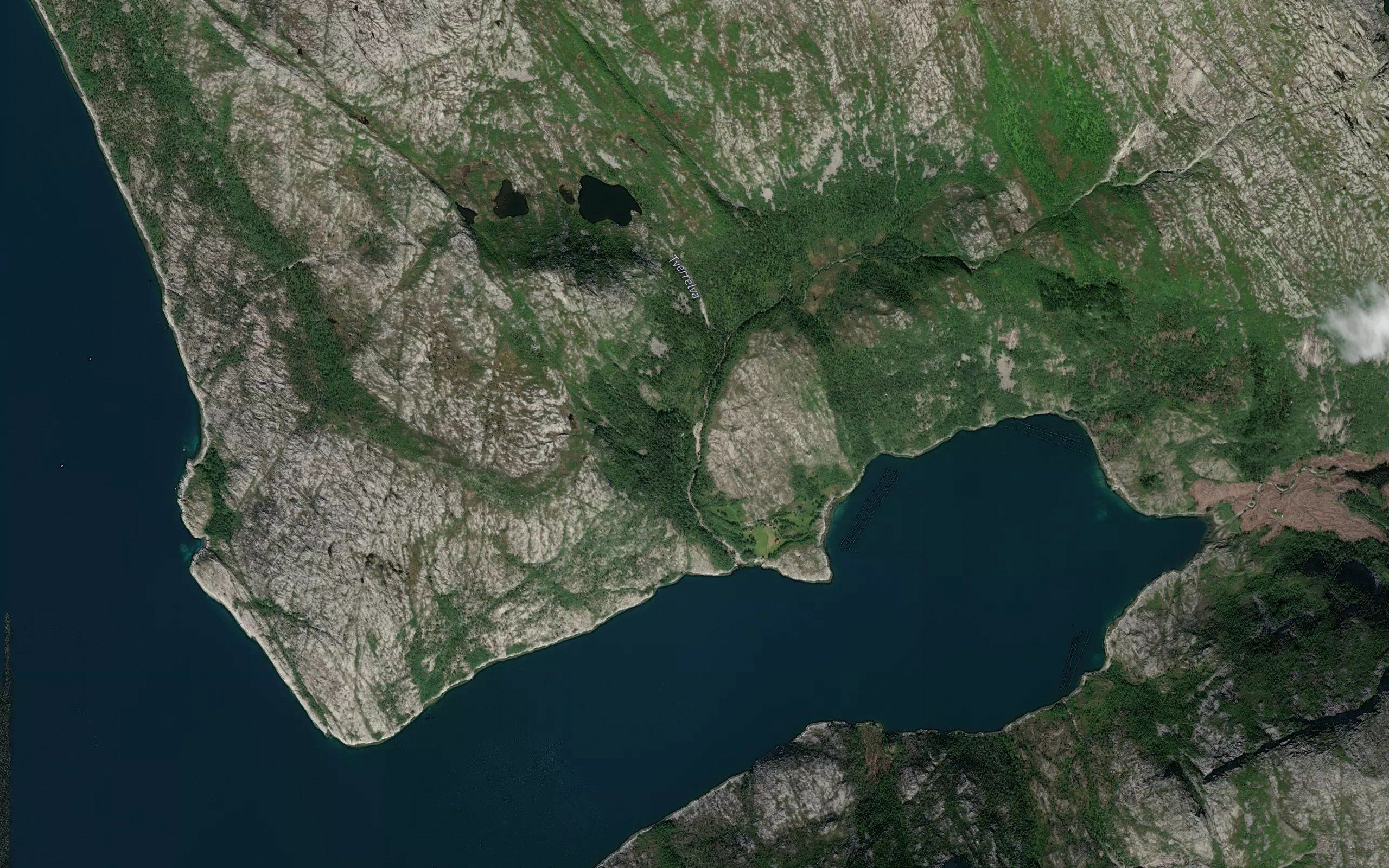 Kvitneselva