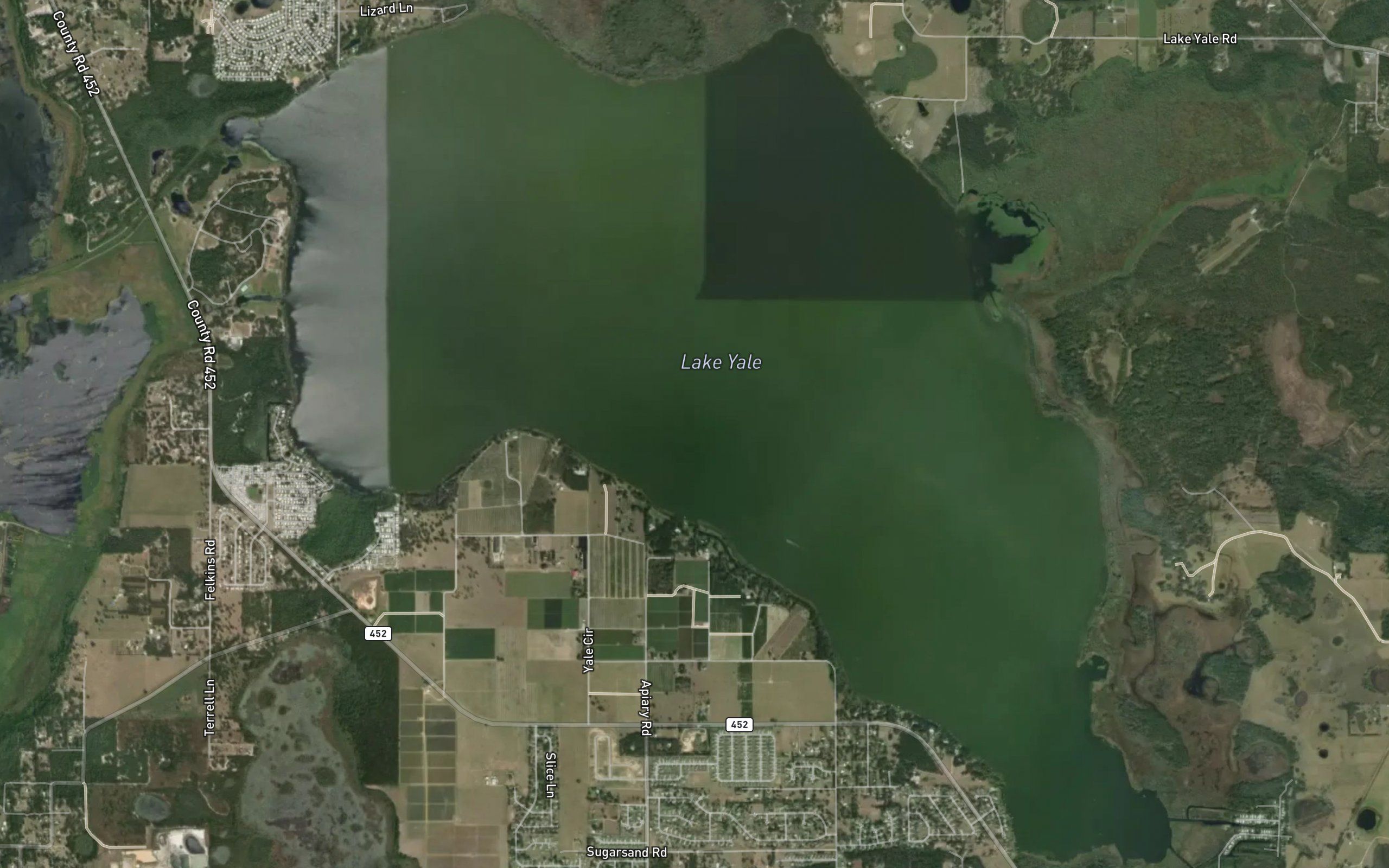 Lake Yale