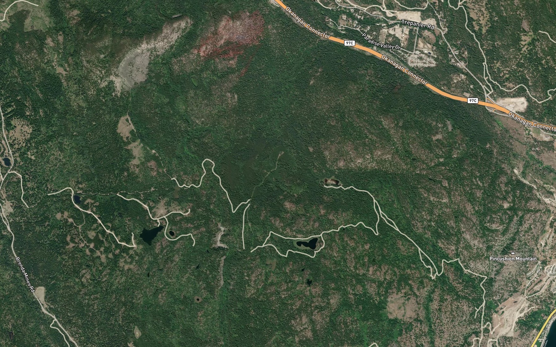 Satellite map of the McCall Lakes