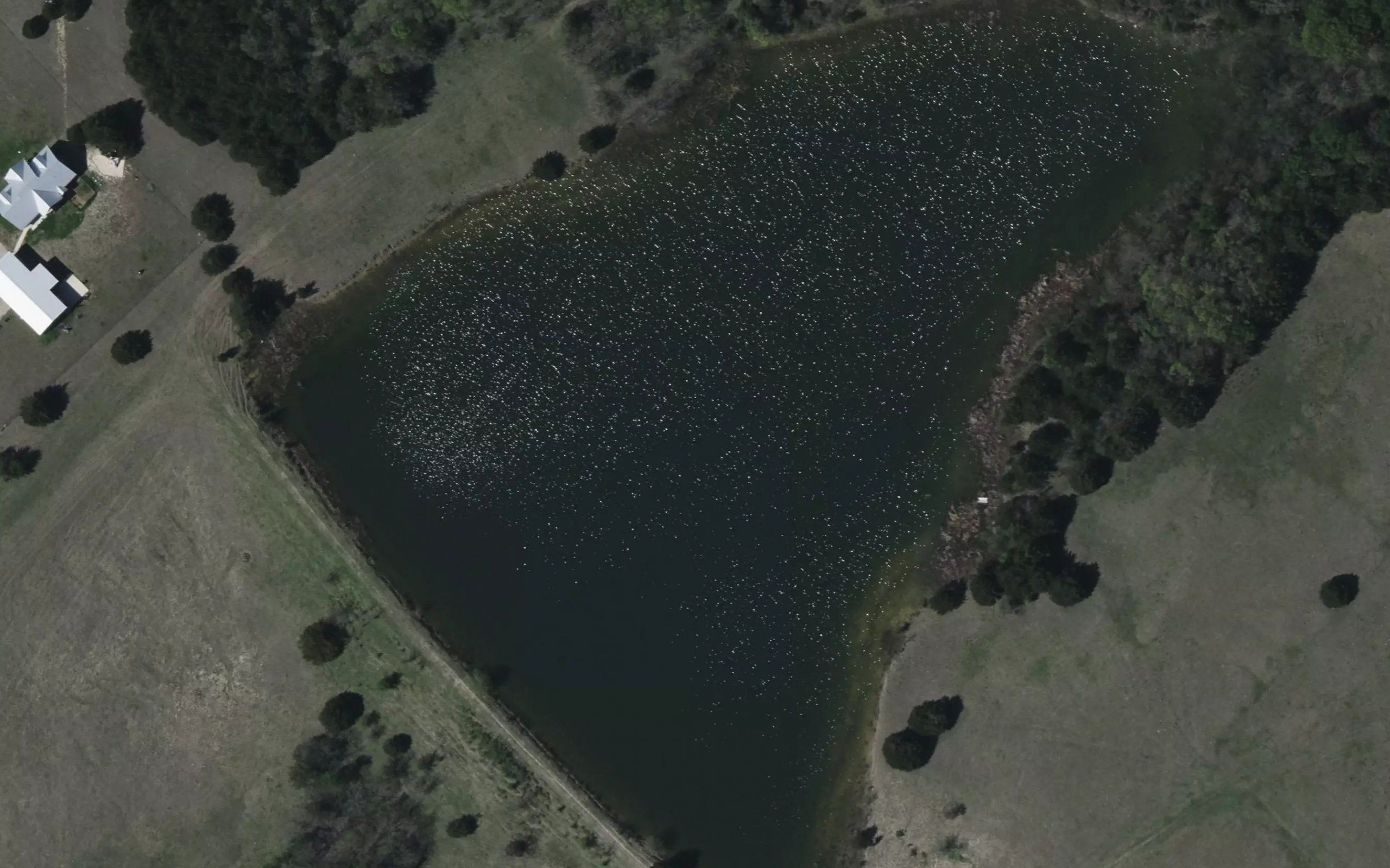 University Park Lake