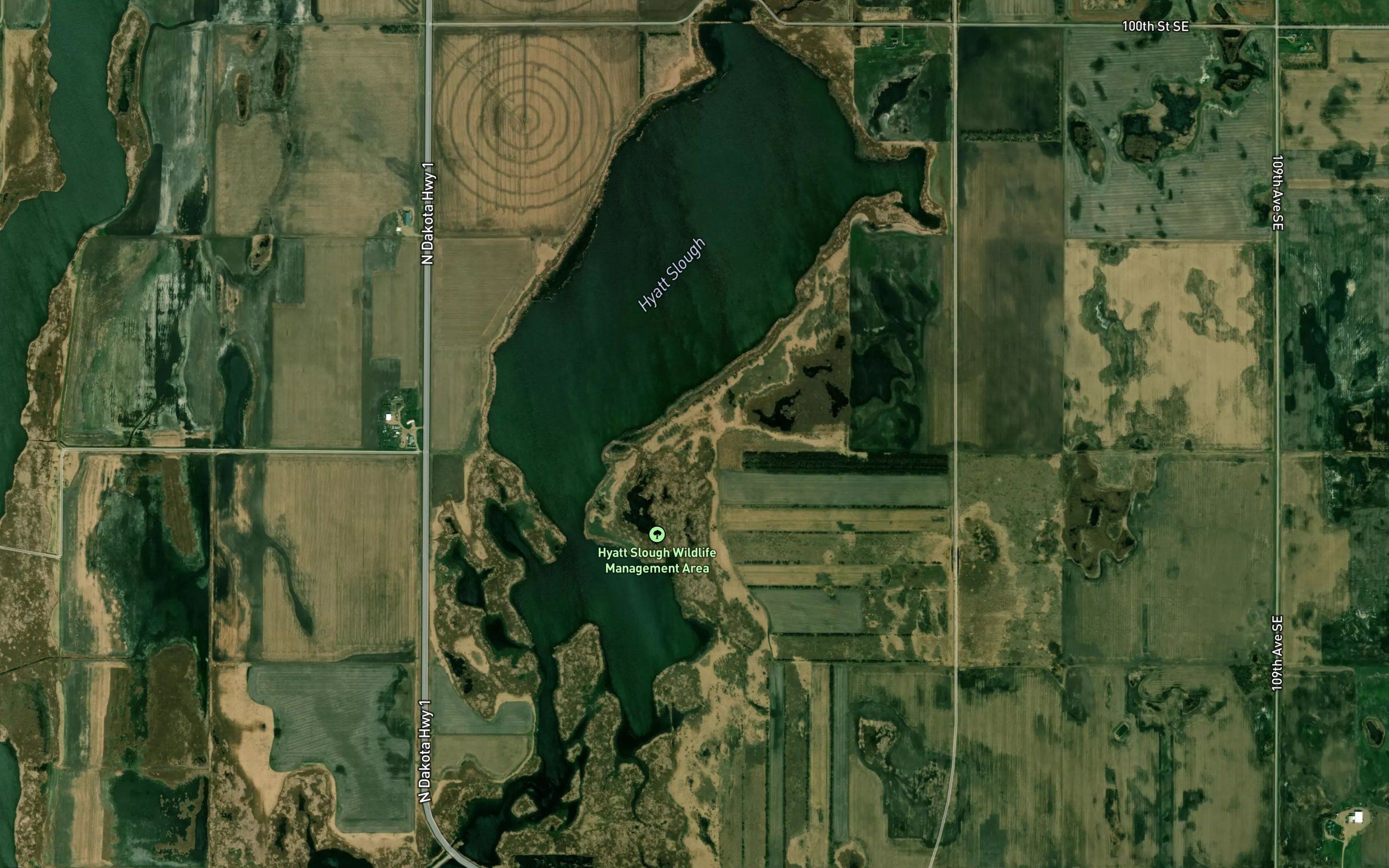 Hyatt Slough