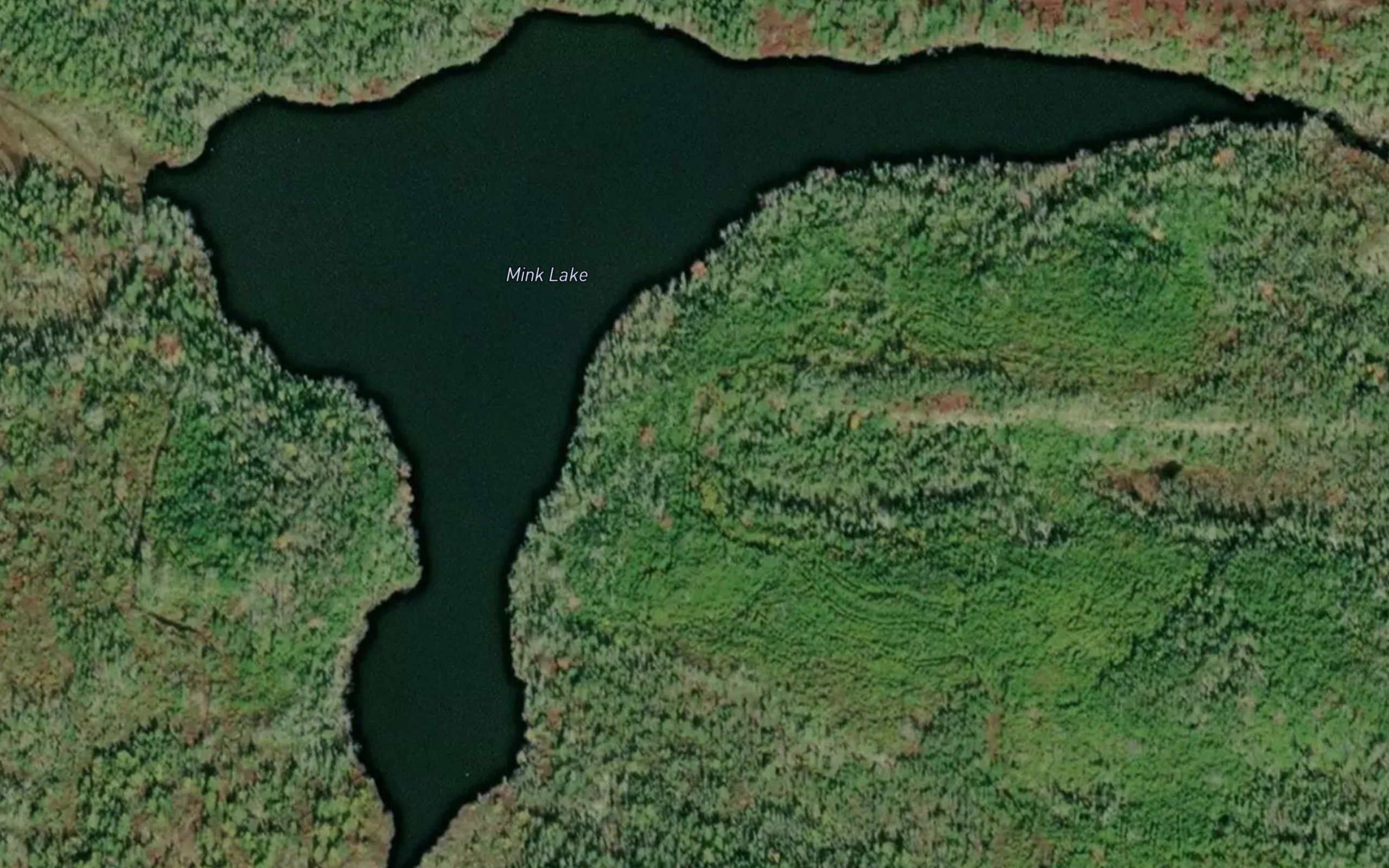 Mink Lake
