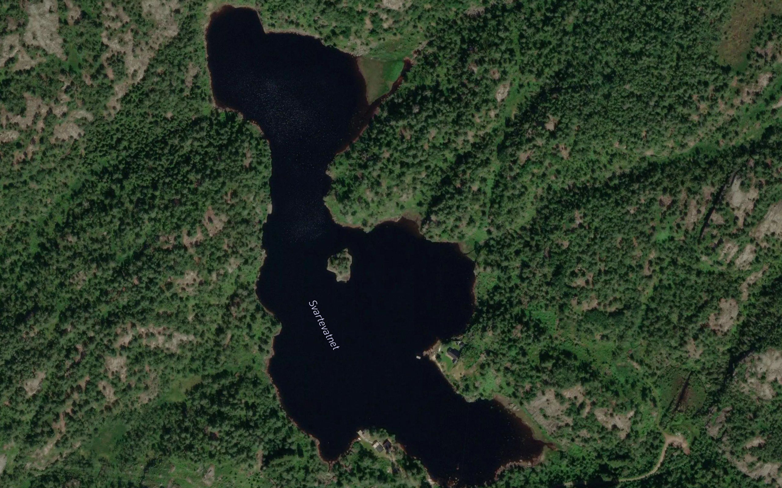 Svartevatnet
