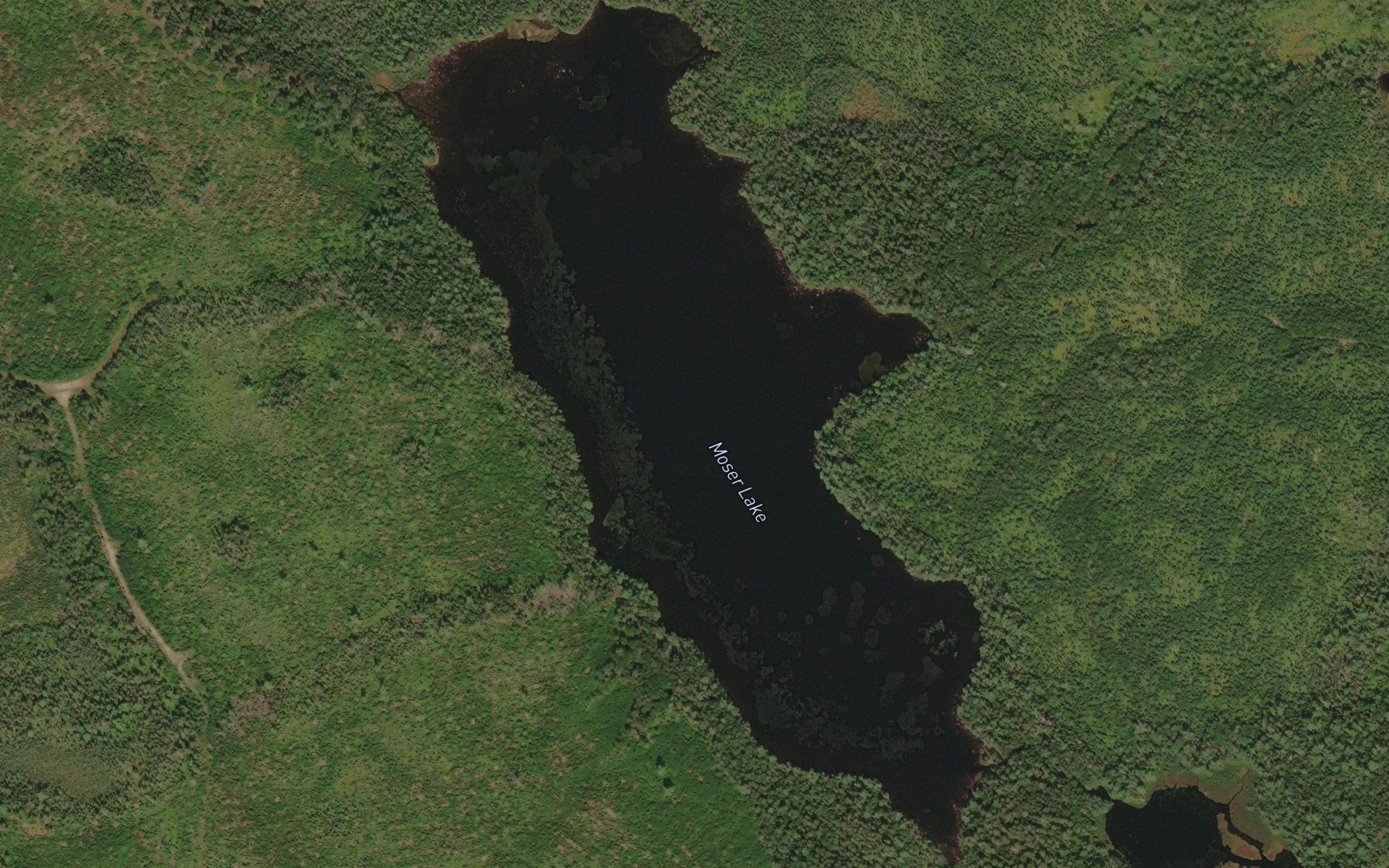 Moser Lake