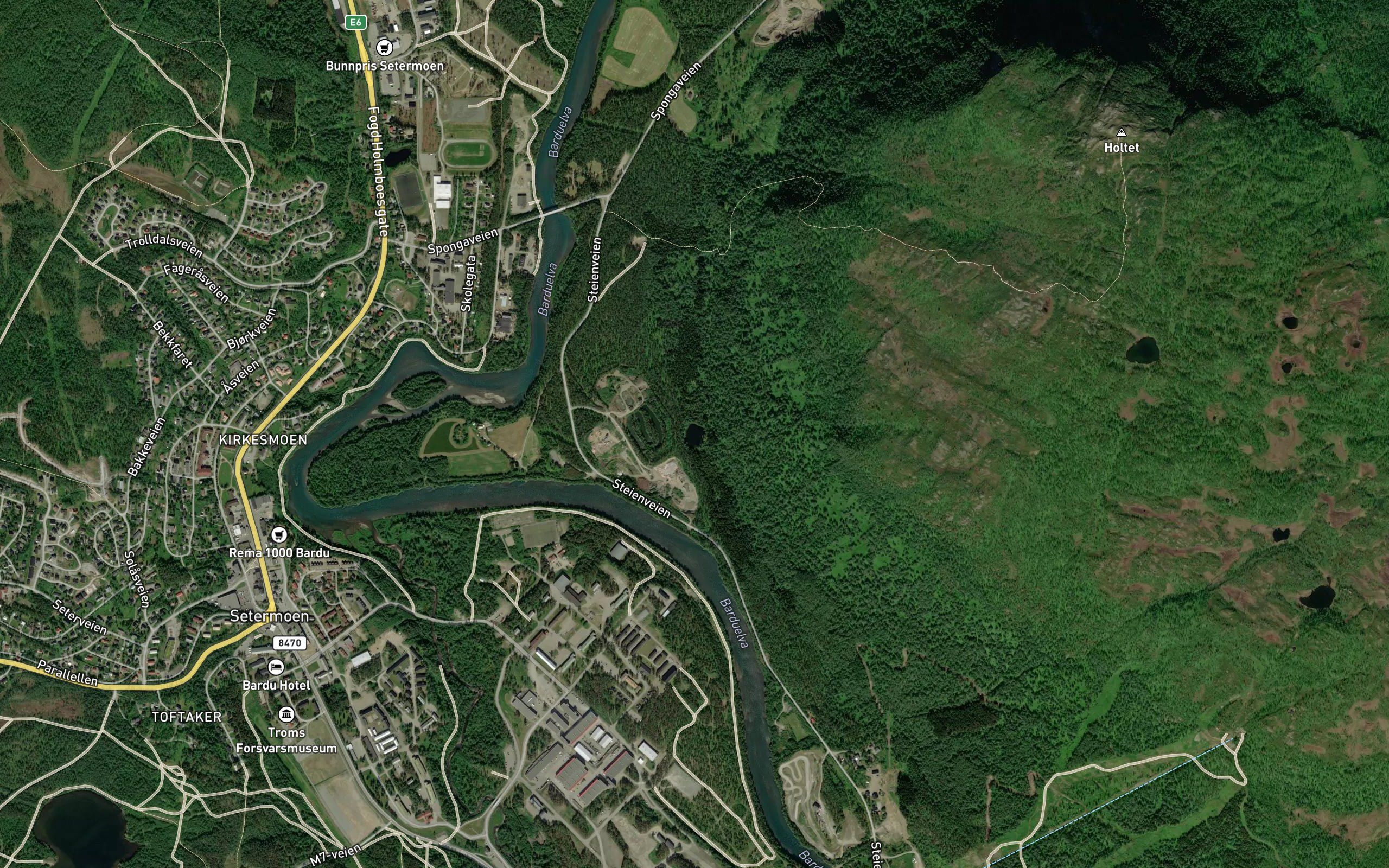 Bergslettjonna