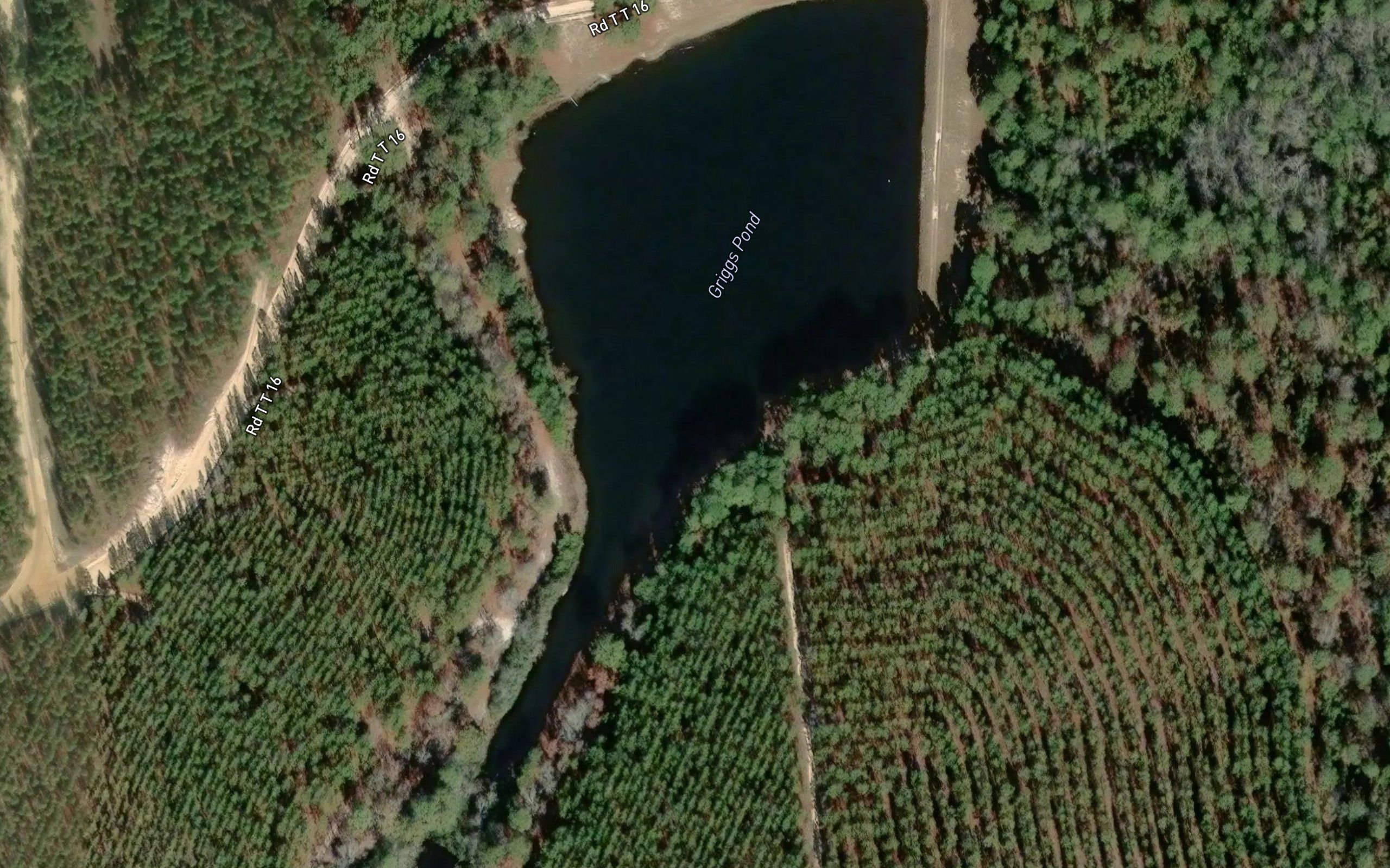 Griggs Pond