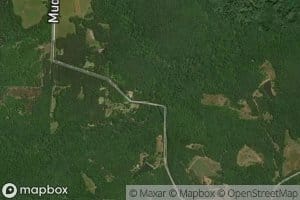 Bunkley Woods Branch