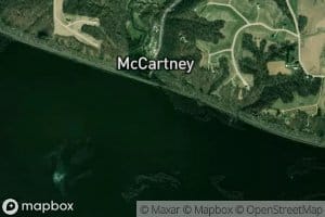 McCartney Branch