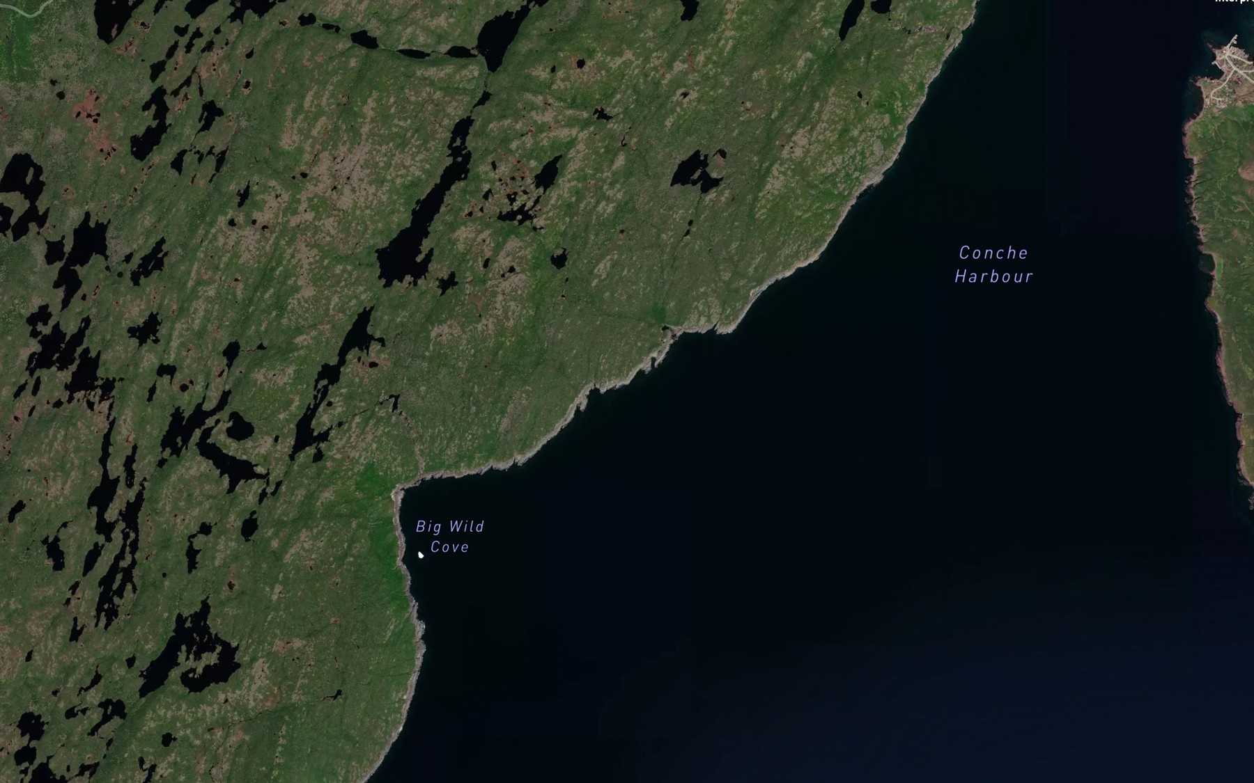 Satellite map of the Little Wild Cove