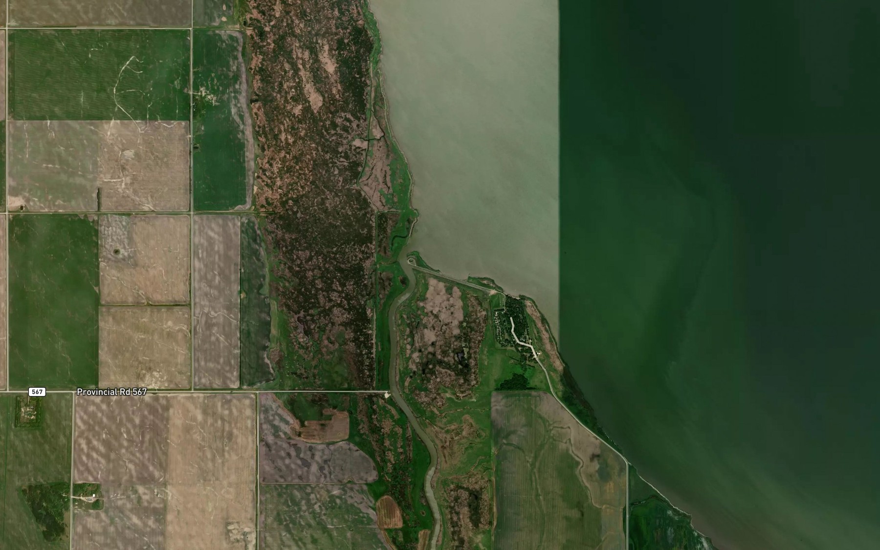 Satellite map of the Whitemud River