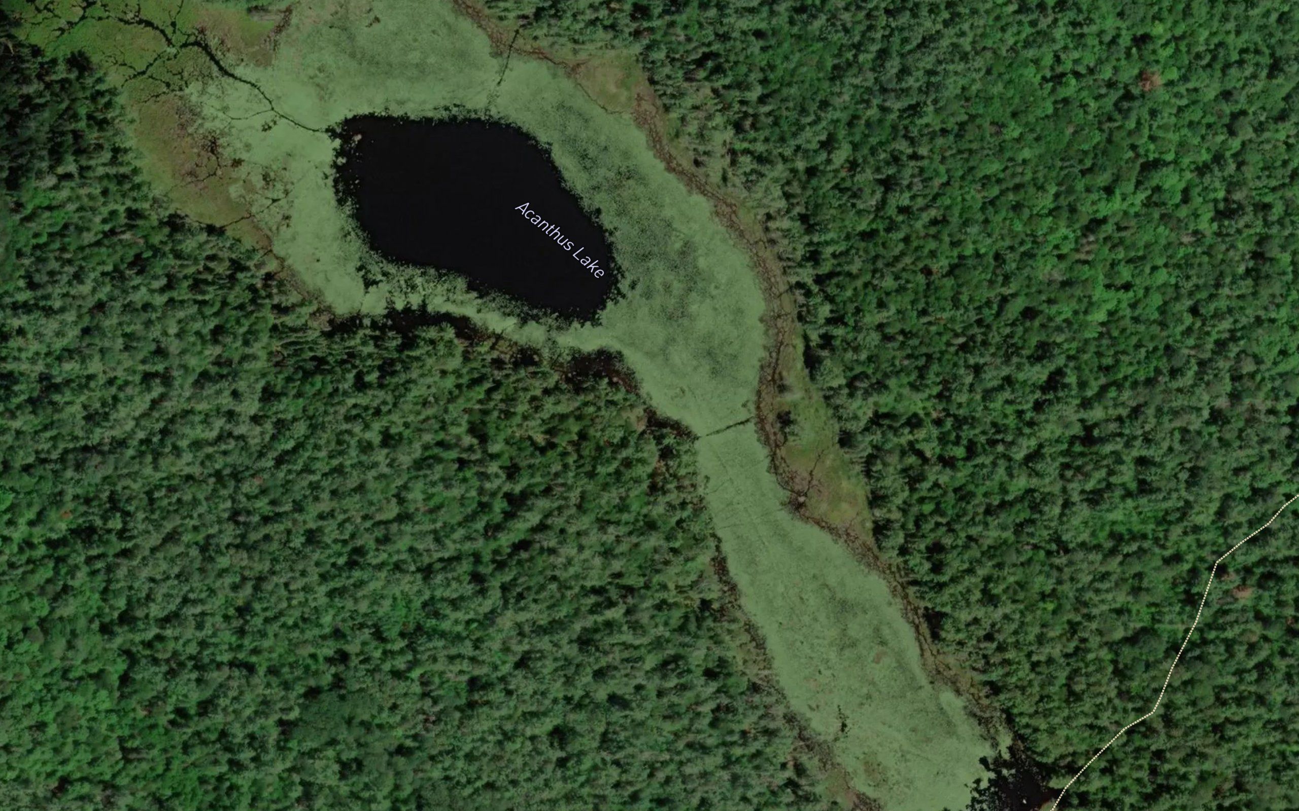 Acanthus Lake