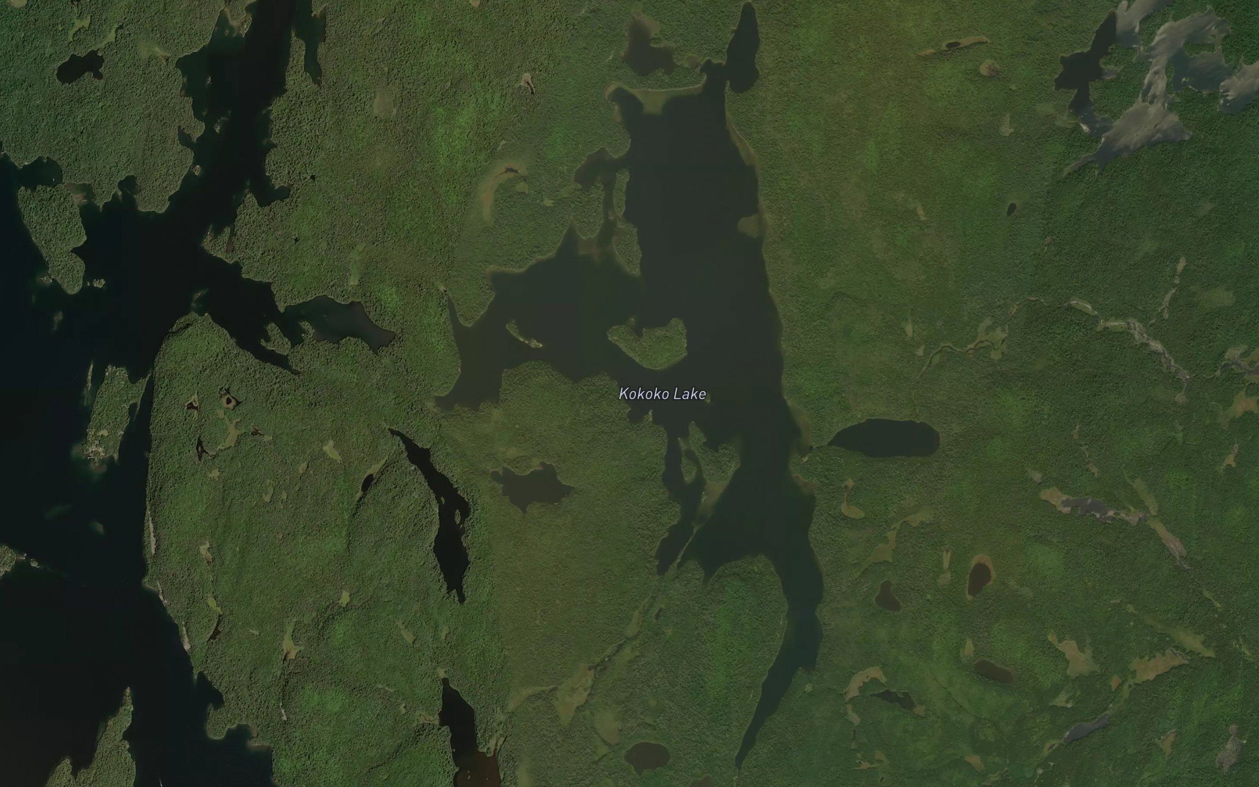 Kokoko Lake