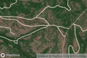 Sumac Spring