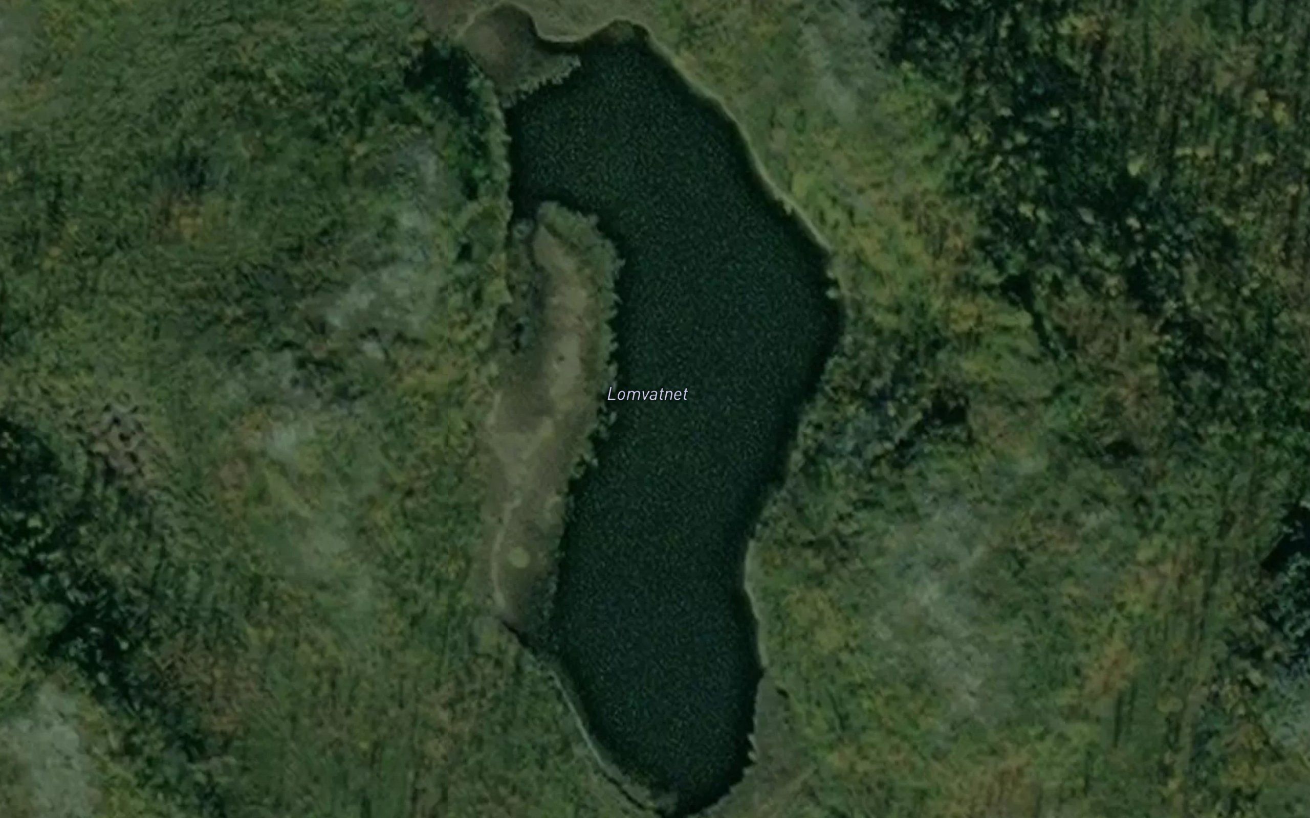 Lomvatnet