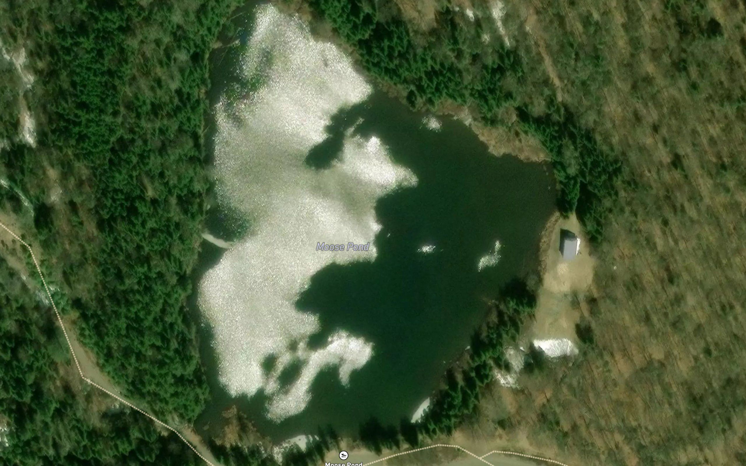 Moose Pond